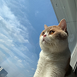 夕暮_xm的头像
