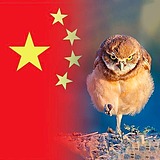 我有点困zZ的头像