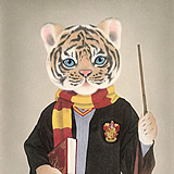 隔壁流浪家的猫的头像