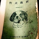 阿灿_h的头像