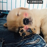 徐印的头像