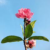 Sunshine_35的头像
