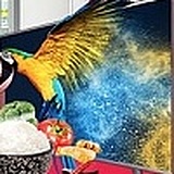 ui哒的头像