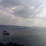 qingting666的头像
