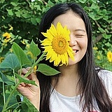 南宫舞的头像