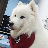 葱葱葱葱葱葱葱葱的头像