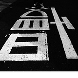 养乐多又多的头像