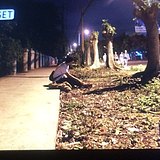 丑魚的头像