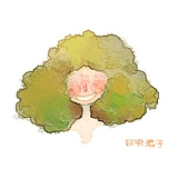 菖蒲丸子的头像