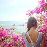yeerkuang123的头像