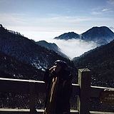 雨婳的头像
