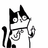 若阿小猫懒的头像