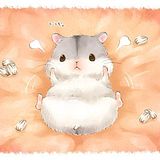 wmsjk041的头像