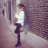 小青蛙的故事的头像