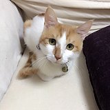 morning924的头像
