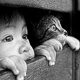 猩猩_ONE的头像