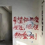 万物生长wild的头像