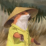 用户头像