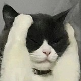 亦兰君的头像