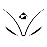 Zeng_增的头像