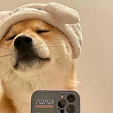 恰个汉堡包的头像