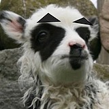 零点五个猪的头像