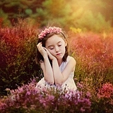 flowerdancell的头像