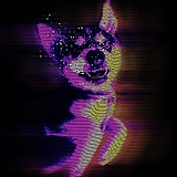 sword0509的头像