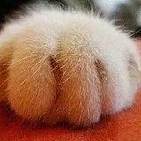 绘画进行时的头像