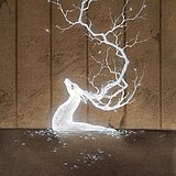 画师杉泽的头像