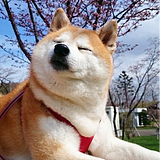Dalin啊的头像