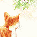 一抹温柔的头像