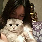 哆啦A梦的梦的头像