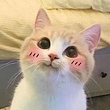 孙小飞z的头像