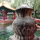 闲狗子的头像