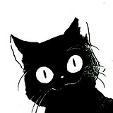 一只猫林的头像
