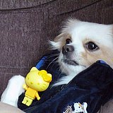 云天新视角的头像