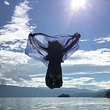 自由娴在的头像