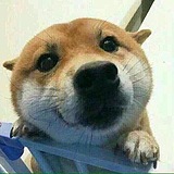 biu小妍的头像