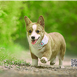 创为slide的头像