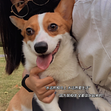 叁柒拾忆的头像