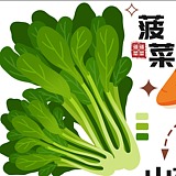 碎碎念哎的头像