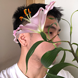 野夫Art的头像