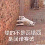 拿来奉酒的头像
