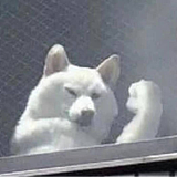 劈里啪啦_胡查查的头像