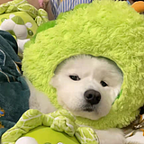不二DEYU的头像