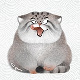 AKA石头的头像