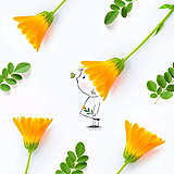 小欣欣137的头像