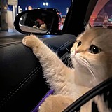 Rodma小宇的头像