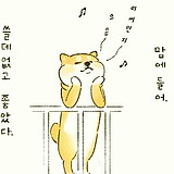 alena清浅的头像